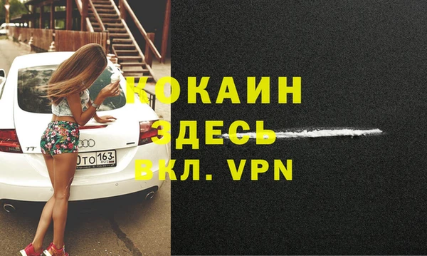 мет Ладушкин