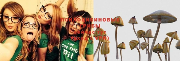 мет Ладушкин
