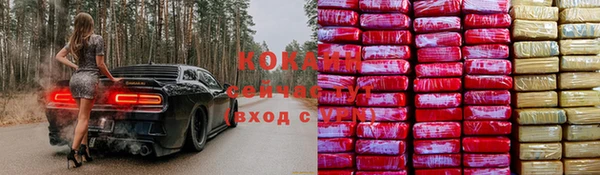 мет Ладушкин