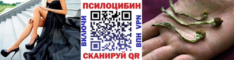 Галлюциногенные грибы Psilocybe  Купить закладки  Краснослободск 
